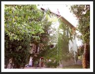 Cliquez pour agrandir l'image