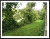 Cliquez pour agrandir l'image