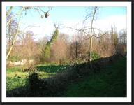 Cliquez pour agrandir l'image